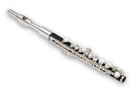 Get the best deals on piccolos. A Few Words About Piccolos Dr Cate S Flute Tips