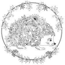 Give some hedgehog coloring pages to your children! Scrapntubes