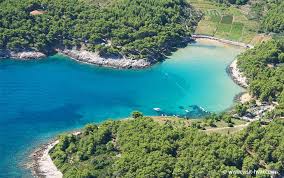 Image result for jelsa croatia