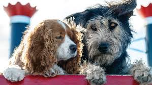 Whether you're looking for the best kids' movies on netflix, new releases on disney+, the latest tv shows for teens on amazon prime, or what you can watch for free on tubi. Lady And The Tramp Review Disney Plus Launches With A Neutered Remake Indiewire