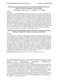 Image result for Loxodera