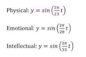 Biorhythms Definition History Calculation Study Com