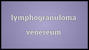Image result for lymphogranuloma venereum