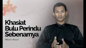 Menurut mitos, bulu perindu sangat ampuh membuat seorang wanita jatuh cinta pada seorang pria asalkan dipegang oleh orang yang tepat. Bulu Perindu Kinasih Pakarpengasihan Com