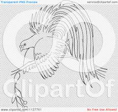 Cendrawasih burung bunga alam hewan strelitzia tanaman taman mekar flora. Cartoon Of A Retro Vintage Black And White Bird Of Paradise On A Branch Line Drawing Royalty Free Vector Clipart By Picsburg 1127761