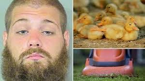 Jason Falbo's Instagram, Twitter & Facebook