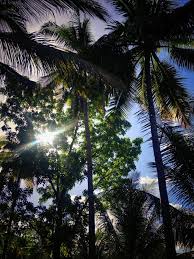Pin On My Photography
