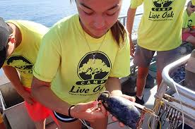 We did not find results for: Teen Eco Experience Program At Camp Live Oak