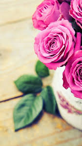Wallpaper Iphone Beautiful Floral Wallpaper Rose Wallpaper Flower Wallpaper