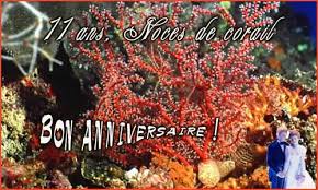 Cartes anniversaire avec cybercartes.com : Carte 11 Ans Corail Cybercartes Com