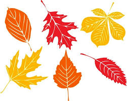 Blatter Als Fensterbilder In Herbstlichen Farben Fensterbilder Basteln Fensterbilder Fensterbilder Herbst