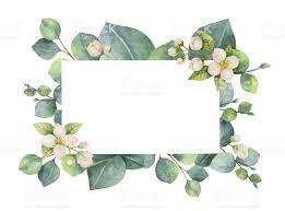 Watercolor Vector Green Floral Card With Eucalyptus Leaves Jasmine Floral Cards Free Vector Art Floral