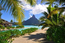 We did not find results for: 4538927 Sea Island Palm Trees Sunlight Bora Bora Nature Beach Landscape French Polynesia Clouds Tropical Wallpaper Mocah Hd Wallpapers
