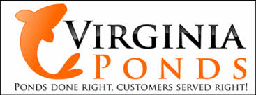 We also sell koi directly from the farm in turkey, n.c, to. Virginia Ponds Va Koi Pond Installation Maintenance Virginia Leesburg Fairfax County