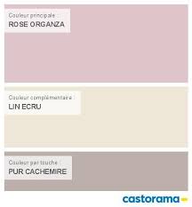 Castorama Nuancier Peinture Mon Harmonie Peinture Rose Organza Satin Velours De Dulux Valentine Coutur Nuancier Peinture Couleur Chambre Fille Peinture Rose