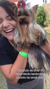 Brazilian Magic Dream (@brmagicdream) • Instagram photos and videos