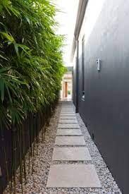 It is amazing for curious children and adults alike to watch seeds in their garden grow and then nurture them into something much larger than the tiny. 19 Black Bamboo Ideas Black Bamboo Bamboo Garden Backyard