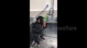 Baby dave 4.5 out of 5 stars 189 ratings Newsflare Monkey Taking A Bath In A Sink