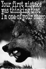 So read on and let them inspire you. Warrior Quotes Lone Wolf Quotes Wolf Quotes