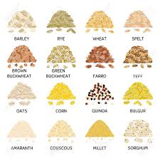 What does millet vs quinoa taste like? Set Of Hand Drawn Vector Handful Of Grains And Cereals Barley Wheat Buckwheat Oats Corn Quinoa Millet Bulgur Organic Healthy Food Vegan And Vegetarian Poster Hand Drawn Vector Illustration Royalty Free Cliparts