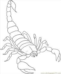 Image Detail For Free Printable Coloring Page How To Draw A Scorpion Step 5 Animals Scorpio Art Animal Drawings Drawings
