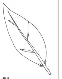 See more ideas about feather template, feather, feather art. Turkey Feather Feather Outline Cliparts Free Download Clip Art Jpg Clipartix