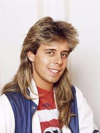 Mullet The Badass Hairstyle Of The 1970s 1980s And Early 1990s Http Photovide Com Badass Hairstyle 1970 19 Mullet Haircut Mullet Hairstyle Mens Hairstyles