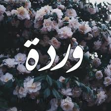 أجمل عبارات تهنئة عيد ميلاد سعيد 2022 كلام عيد ميلاد للأصدقاء ,كثيرا ما نبحث عن كلمات ذات لحن وعبارات جديدة لتهنئة اقاربنا او أصدقائنا او الاهل و الاحباب ØµÙˆØ± Ø§Ø³Ù… ÙˆØ±Ø¯Ø© Ù‚Ø§Ù…ÙˆØ³ Ø§Ù„Ø£Ø³Ù…Ø§Ø¡ Ùˆ Ø§Ù„Ù…Ø¹Ø§Ù†ÙŠ