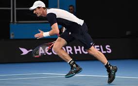Spaniard roberto bautista agut is as solid as they come. Pin On Andy