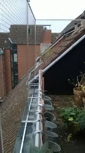 Dachloggia Balkon In Koln Ohne Bohren Mit Katzennetz Gesichert Katzennetze Nrw Der Katzennetz Profi Katzennetz Dachloggia Katze Balkon