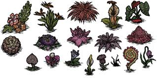 Have you noticed that flowers have been losing their scent over the years? Flower Don T Starve Wiki Fandom