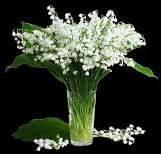 Check spelling or type a new query. Du Muguet Pour Le 1er Mai Accueil Facebook