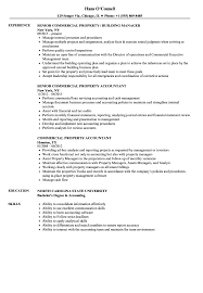 Finance managers and assistant finance managers. Commercial Property Resume Samples Velvet Jobs