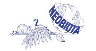 Image result for Neoboutonia