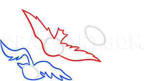 We did not find results for: How To Draw Divergent Tris Birds Tattoo Step By Step Drawing Guide By Dawn Dragoart Com