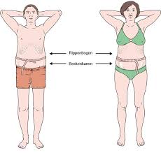 Der bmi (body mass index) ist der von ärzten am häufigsten verwendete index zur bestimmung von übergewicht, untergewicht. Was Sagt Der Body Mass Index Uber Die Gesundheit Aus