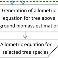 List Of Tree Species And Wood Density 28 Download Table