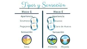 Tipos De Moco Cervical Sinergia2