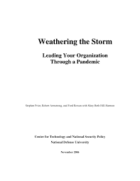 Stock analysis for websafety inc (wbsi:otc us) including stock price, stock chart, company news, key statistics, fundamentals and company profile. Pdf Weathering The Storm Leading Your Organization Through A Pandemic
