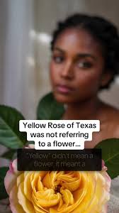 Yellow Rose of Texas Real Meaning