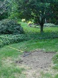 How To Fix Dead Patches In The Lawn Stauffers Grass Patch Landscaping On A Hill Planting Grass