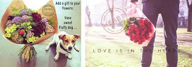See more ideas about thank you images, thank you quotes, thank you. Thank You Flowers Archivos