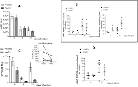 Through liver diagram we can also understand the liver anatomy and liver structure clearly. A 3d Human Liver Model Of Nonalcoholic Steatohepatitis