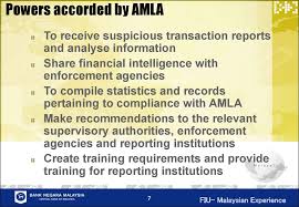 Guidelines were developed for exhibitions, publications, powerpoint presentations, advertisements and collaterals. Malaysian Fiu Establishing An Fiu Issues And Resolutionsby Online Presentation