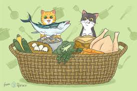 For cat owners who want to make homemade cat food or try a raw cat food diet, webmd provides ideas, tips, and important nutrition guidelines. Home Prepared Food Recipes For Your Cat