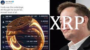 Ripple Xrp Elon Musk Looool Can You Make It Less Obvious Shhhh Youtube