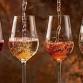 Wine Tasting event image