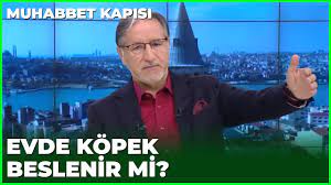evde kopek beslemek gunah mi prof dr mustafa karatas ile muhabbet kapisi gizli youtube