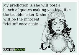 Since no one really knows anything about god, those who think they do are just troublemakers. Best Funny Quotes Victim Ecards Like The Troublemaker She Will Be The Innocent Victim Omg Quotes Your Daily Dose Of Motivation Positivity Quotes Sayings Short Stories