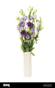 Image result for eustoma lisianthus in vase